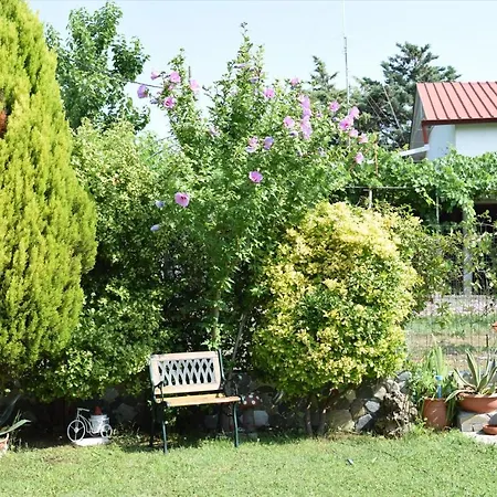 Villa Garden's *