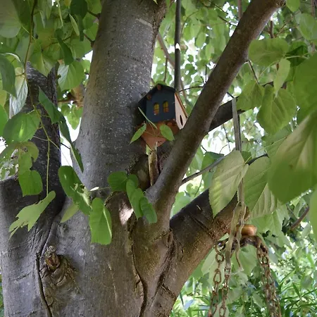Garden's Leptokaryá