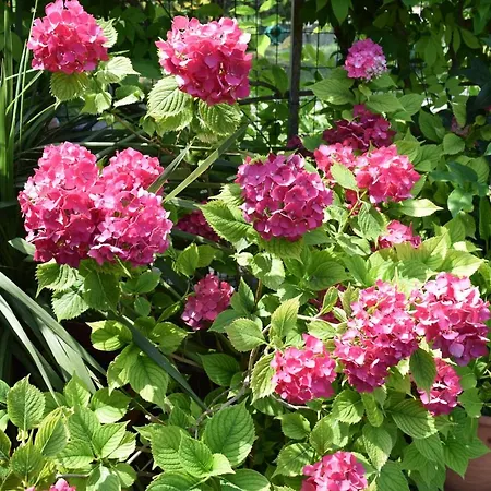 Garden's Βίλα Λεπτοκαρυά