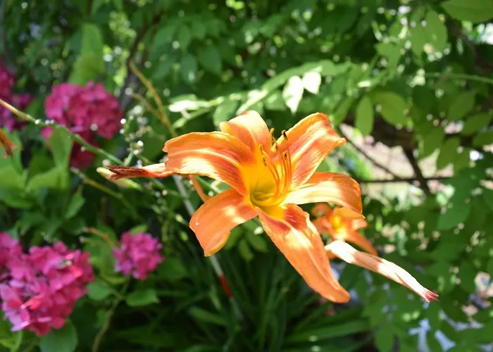 Villa Garden's *