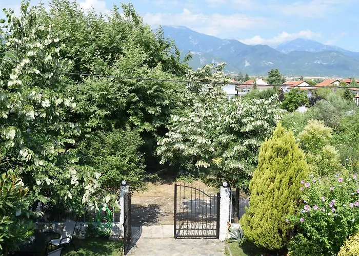 Villa Garden's