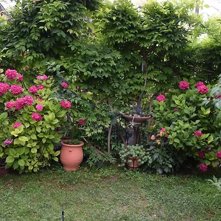Garden's