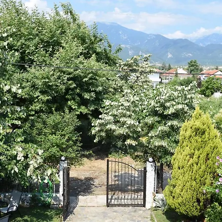 Vilă Garden's