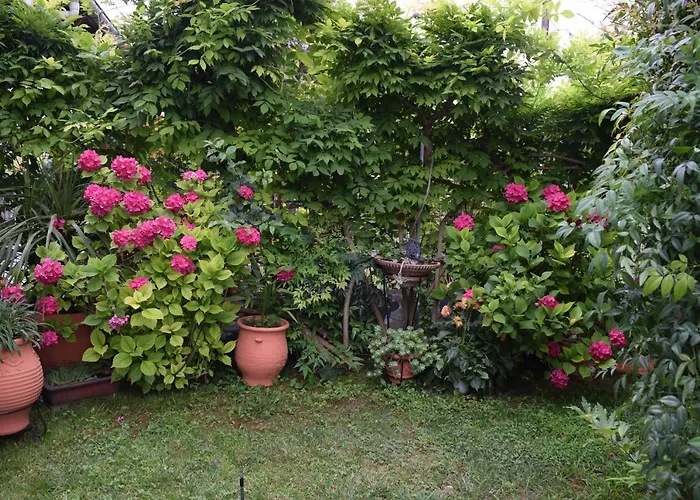 Garden's