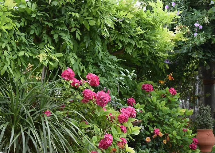 Garden's Villa